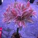 Profile Picture of Bill Zhao (@bill.zhao.399) on Facebook