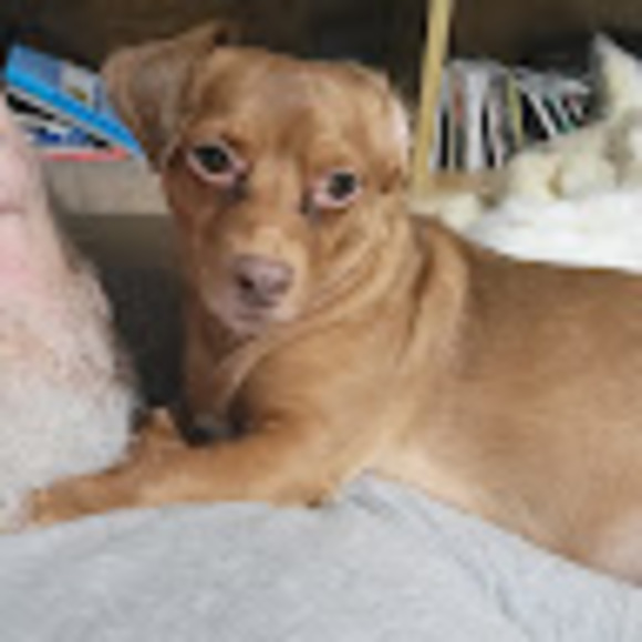 Profile Picture of Joe Grady (@josephg708) on Poshmark