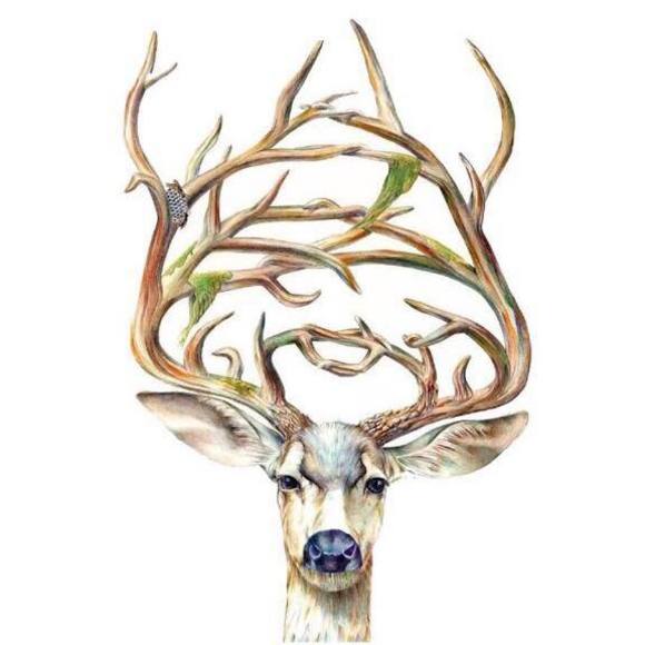 Profile Picture of Tony Tao (@etztonydaniel) on Poshmark