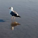 Profile Picture of Patrick Ratchford (@patrickratchford) on Instagram