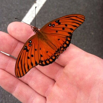 Profile Picture of Michael Lybarger (@MikeLybarger) on Twitter