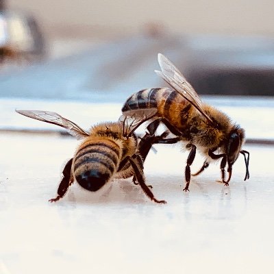 Profile Picture of Avery Chaney (@AveryChaney7) on Twitter