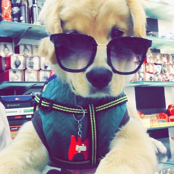 Profile Picture of Harmander singh Aulakh (@h_aulakh) on Poshmark