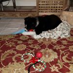 Profile Picture of Philip birch (@birch.philip) on Instagram