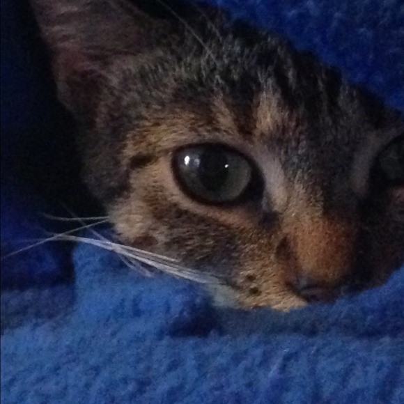 Profile Picture of Barbara Pinner (@barbpin) on Poshmark