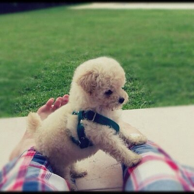 Profile Picture of Tobias Tracy (@TobiasTracy675) on Twitter