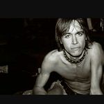 Profile Picture of Iggy MotherFuckin Pop (@james_osterberg) on Instagram