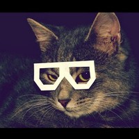 Profile Picture of Alex Duque (@alex-duque-1) on Quora