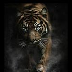 Profile Picture of Thomas Bertolini (@bertolini2274) on Instagram