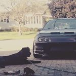 Profile Picture of Robin Chouinard (@bad_ass_teggy) on Instagram
