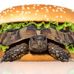 Profile Picture of Jon Turtle (@jon.turtle.393) on Facebook