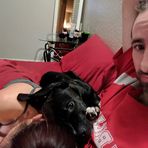 Profile Picture of Stevie Barrett (@Stevie-Barrett) on Facebook