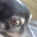 Profile Picture of Kenneth Patchen (@kenneth.patchen.18) on Facebook