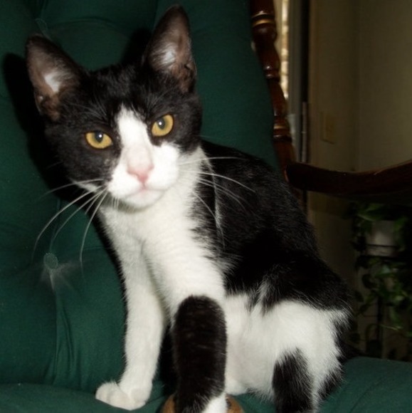 Caroline Manfredo clemente - Poshmark Profile Picture of Caroline Manfredo clemente (@carol913) on Poshmark