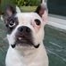 Profile Picture of Clinton Anthony (@clinton.anthony.3551) on Facebook