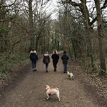 Profile Picture of tamara gamble (@tgamble1974) on Instagram
