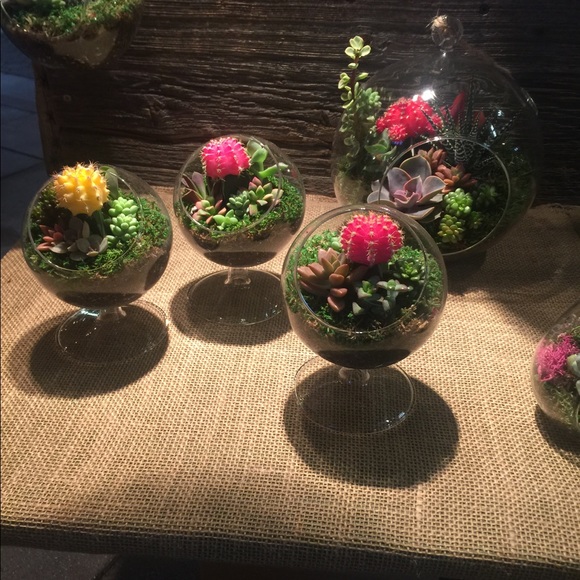 Profile Picture of Vatche Babikian (@vatche818) on Poshmark