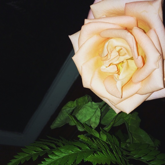 Profile Picture of Sally Karyo (@sallygkcf) on Poshmark