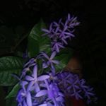 Profile Picture of Martina Ramos (@martina.ramos.7370013) on Instagram