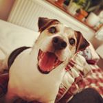 Profile Picture of Jake Walters (@jaykewalters) on Instagram