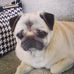 Profile Picture of Nancy Prout (@nancy.prout.12) on Facebook