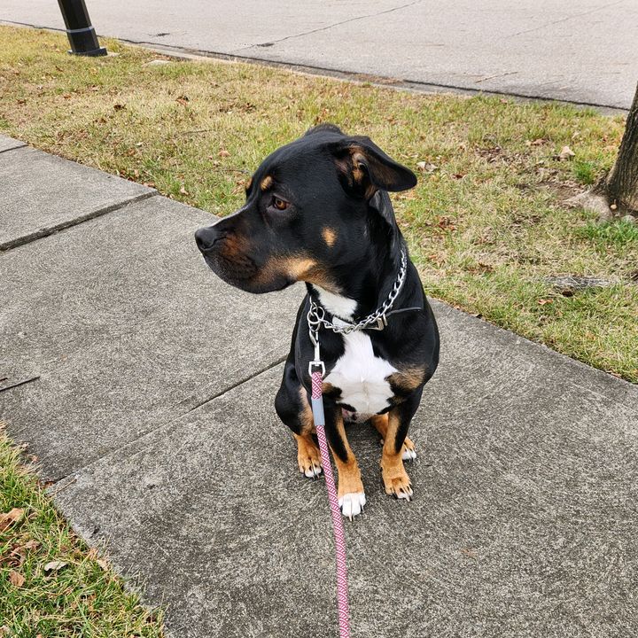 Profile Picture of stevenzeller1 (@kattboyy7) on Tiktok