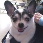 Profile Picture of Robin Mosher (@mosher.robin) on Instagram