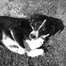 Profile Picture of Hudson Cheromcha (@Hudson-Cheromcha) on Facebook