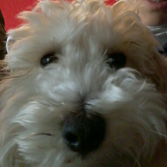 Profile Picture of David Kvamme (@davethewave25) on Poshmark