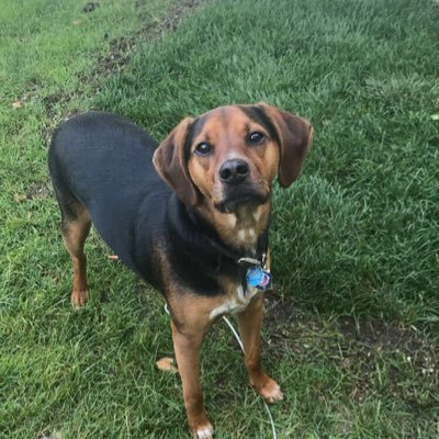 Alex DeSouza - Twitter Profile Picture of Alex DeSouza (@Alex_DeSouza_) on Twitter