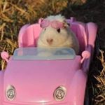 Grethel Paz Ballesteros - Instagram Profile Picture of Grethel Paz Ballesteros (@grethelpazballesteros) on Instagram