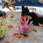 Profile Picture of Brian Neathery (@brian.neathery.9) on Facebook