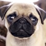 bowendavis - Instagram Profile Picture of bowendavis (@bowendavis) on Instagram