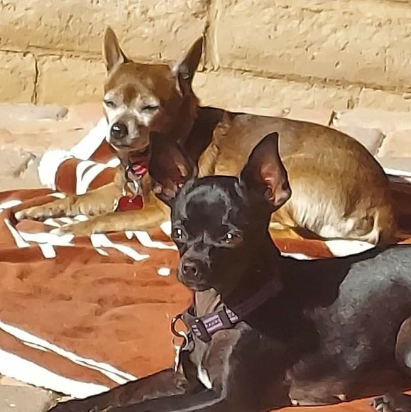 Profile Picture of Heidi Blaser (@heidiblaser) on Poshmark