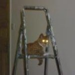 Profile Picture of Daniel Crossland (@danieljcrossland) on Instagram