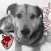 Profile Picture of James Hess (@james.hess.5458) on Facebook