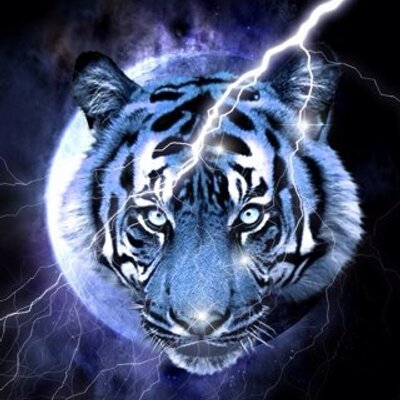 Profile Picture of Andrea Carpentieri (@AndyCarpen1998) on Twitter