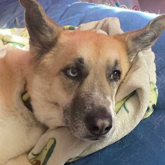 Profile Picture of Wesley Rainier-coe (@kwrain) on Poshmark