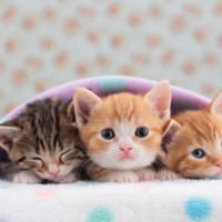 Profile Picture of Brian Casserly (@brian-casserly-6) on Quora