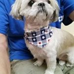 Profile Picture of Mark Norden (@norden_mark) on Instagram