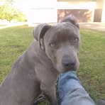 Profile Picture of Jesse Dabbs (@jesse.dabbs.16) on Facebook