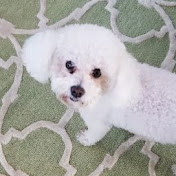 Profile Picture of Cameron Lopes (@cameronlopes699) on Youtube