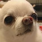 Profile Picture of jamesdoidge (@jamesdoidge) on Instagram