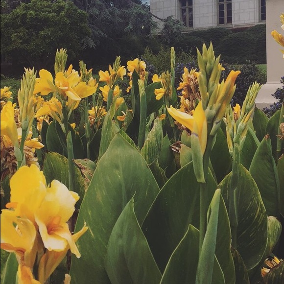 Profile Picture of Justine Penzel (@queen_justine15) on Poshmark