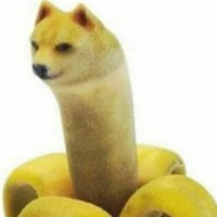 Dario Escobar - Quora Profile Picture of Dario Escobar (@dario-escobar-1) on Quora