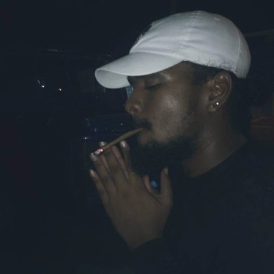 Profile Picture of Jared Pereira (@Stonerfest868) on Twitter