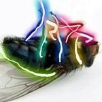 Profile Picture of Drew P Weiner (@drewweiner) on Instagram