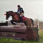 Profile Picture of Ian Tighe (@ian.tighe) on Instagram