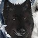Profile Picture of Larry Johnson (@Larry-Johnson) on Facebook