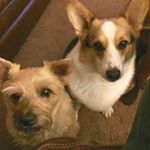 Profile Picture of Lisa Neaves (@lneaves115) on Instagram